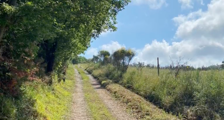 Screenshot 2025-10-20 alle 17.10.14.png