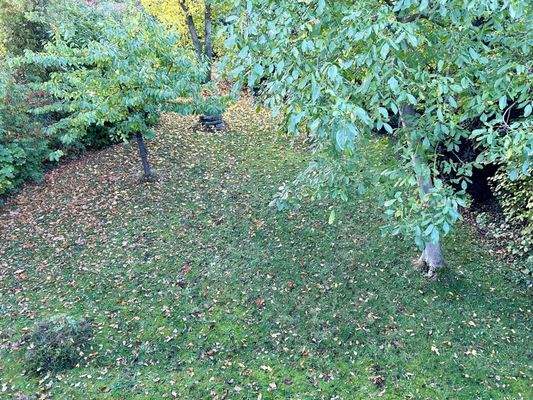 Blick von der Terrasse in den Garten