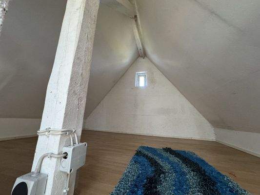 Vielfältig Nutzbarer Dachboden