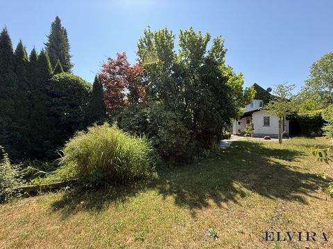 Grünwald Grundstücke, Grünwald Grundstück kaufen