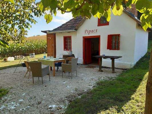 WhatsApp Image 2025-10-22 at 14.10.57.jpeg