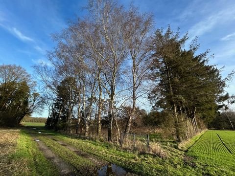 Bassum / Nordwohlde Bauernhöfe, Landwirtschaft, Bassum / Nordwohlde Forstwirtschaft