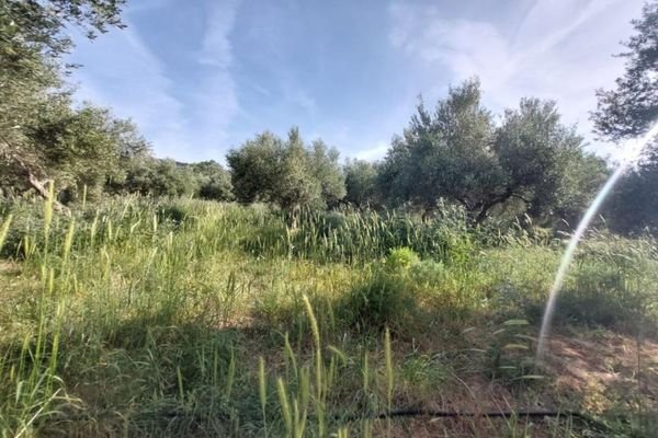 Kreta, Armeni Chania: Grundstück mit Bergblick zum Verkauf in Armenoi