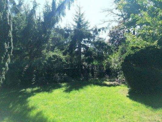 gewachsenes Grundstück