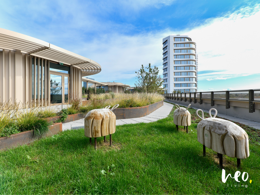 Gemeinschaftliche Dachterrasse