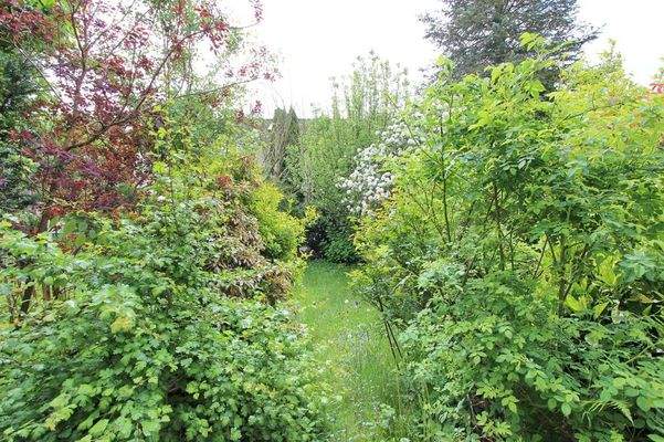 Garten Blick nach hinten