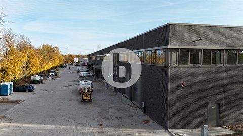 Ahrensburg Halle, Ahrensburg Hallenfläche