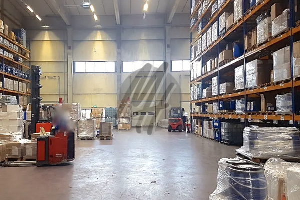 INFOS UNTER: 06171-586000