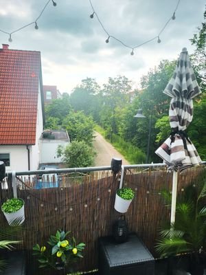 Blick vom Balkon