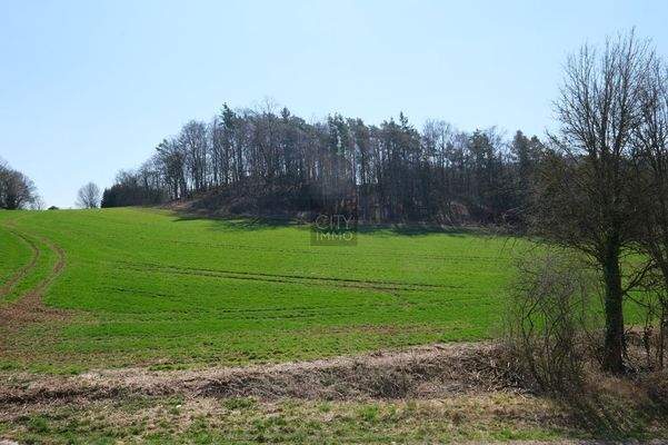 Ausblick, Knderzimmer