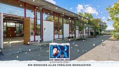 Ingolstadt Halle, Ingolstadt Hallenfläche