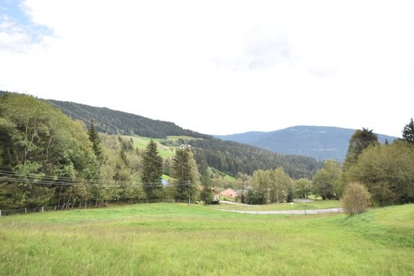 Landwirtschaftlich genutztes Grünland Kauf Arriach Kärnten