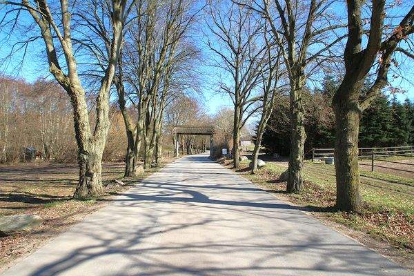 Die Zufahrt zum Reiterhof