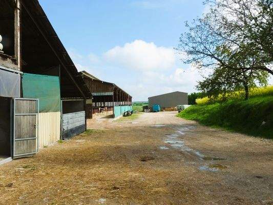 Bild 12