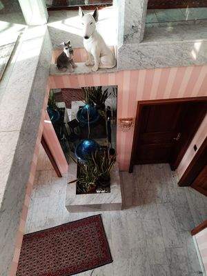 Blick von der Galerie