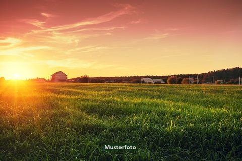 Morsbach Bauernhöfe, Landwirtschaft, Morsbach Forstwirtschaft