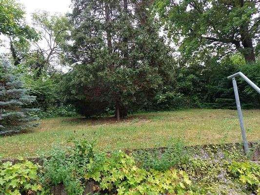 Gartenbereich im Sommer