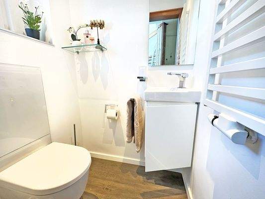 Gäste-WC, selbstverständlich auch mit Tageslicht