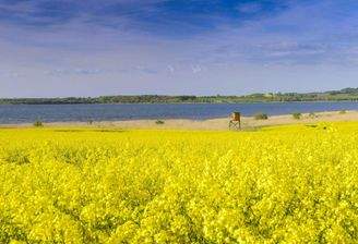 Naturparadies Dassow