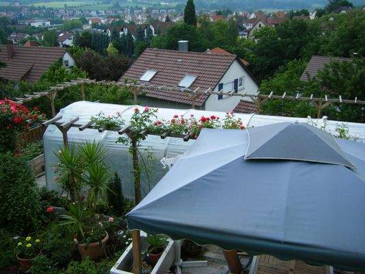 Blick auf Gewächshaus.jpeg