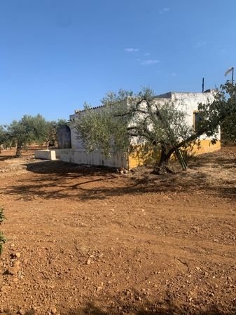 Parterna del Campo Häuser, Parterna del Campo Haus kaufen