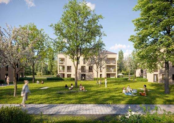 260220_Haar_Aussen_kam 004_LOW.jpg