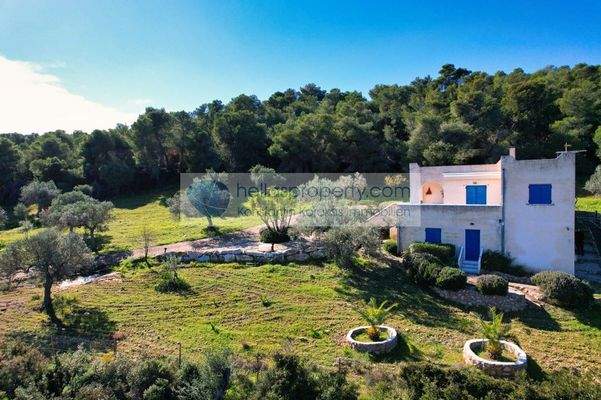 25fe2a0c4ebf40eca5925a09c8f4d5eb-original