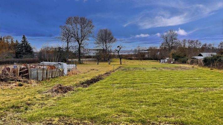 Garten und angrenzende Wiese