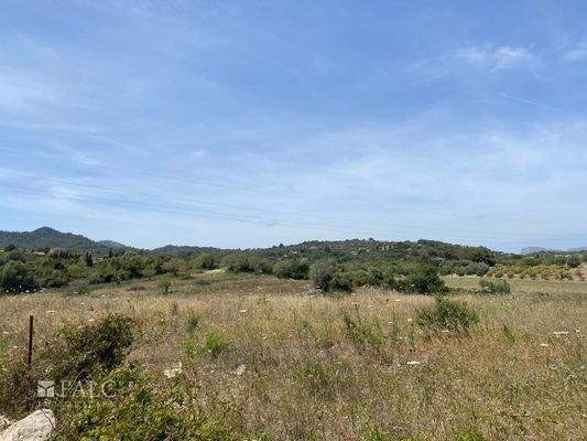 Panoramablick 360° ...