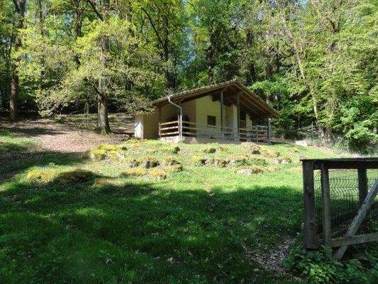 Außenbereich - Park