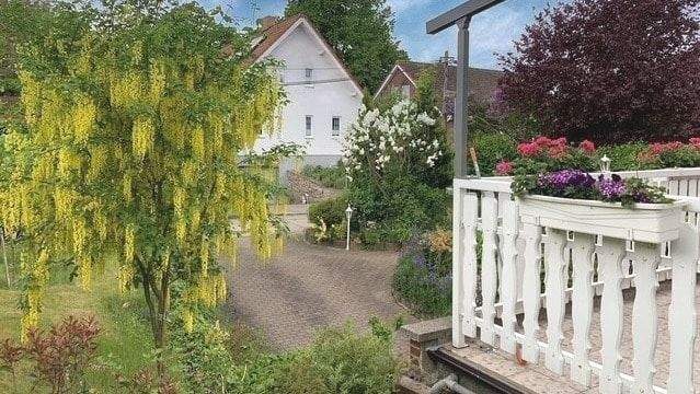 Bild von Terrasse im Sommer