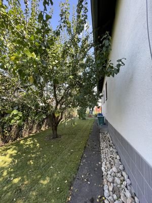 Außen Nordseite Obstbäume