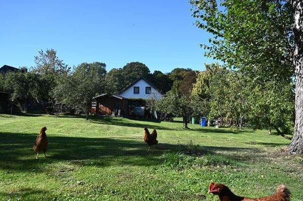 Wollen Sie noch mehr sehen? Kommen Sie mit, wir zeigen es Ihnen.