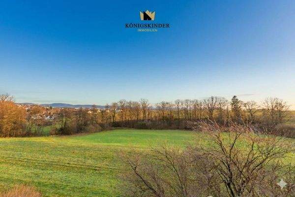 Aussicht vom Balkon EG