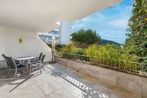 Camp de Mar Wohnungen, Camp de Mar Wohnung kaufen