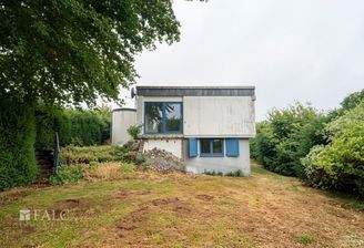 Ansicht Garten ( mit KI optimiert)
