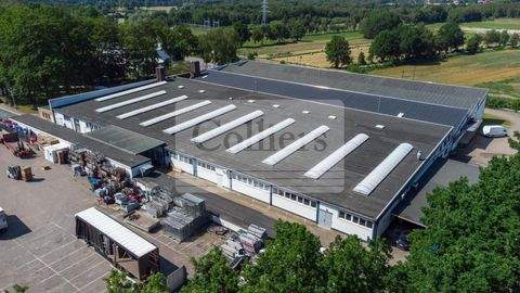 Buxtehude Halle, Buxtehude Hallenfläche