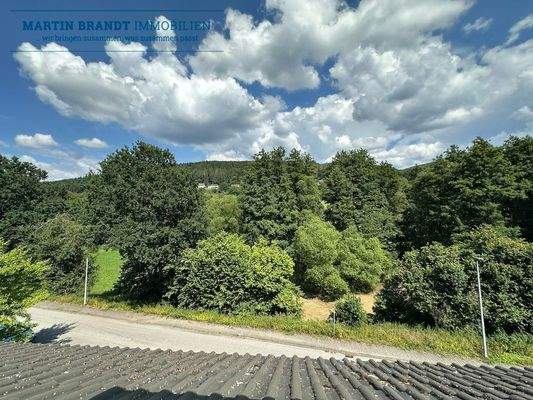 Blick Fenster DG Straßenseite