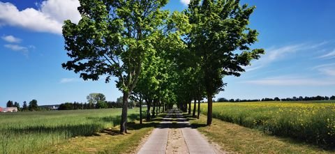 Löwenberger Land Grundstücke, Löwenberger Land Grundstück kaufen