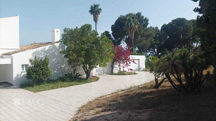 Garten Parkplätze und Einfahrt