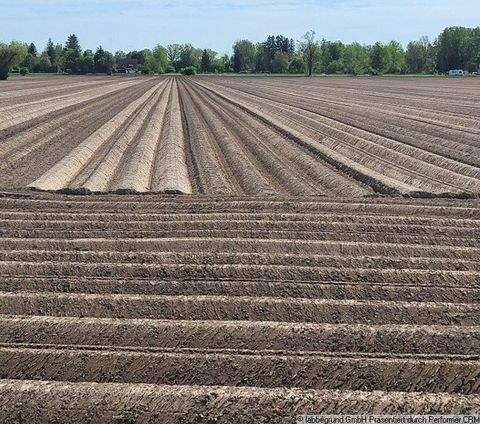 Aichach Bauernhöfe, Landwirtschaft, Aichach Forstwirtschaft