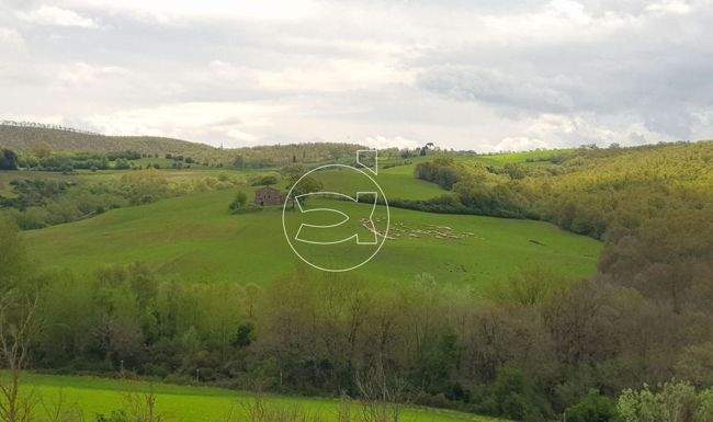 Großzügiges Anwesen in Panoramalage