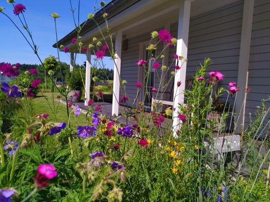 Bienenwiese