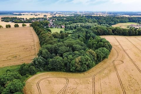 Semlow Bauernhöfe, Landwirtschaft, Semlow Forstwirtschaft