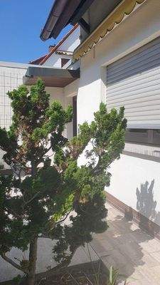 Kleiner Garten vor dem Haus