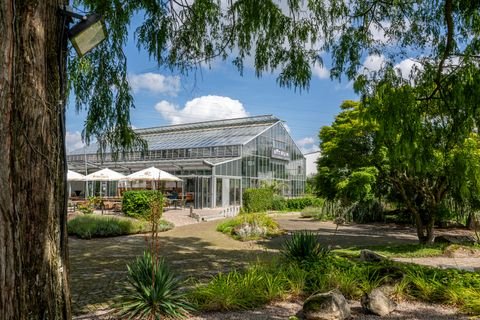 Sinzheim Gastronomie, Pacht, Gaststätten