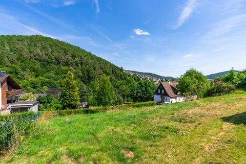 Biedenkopf Grundstücke, Biedenkopf Grundstück kaufen