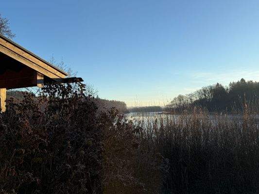 2025-12-10 08.36.45.jpg