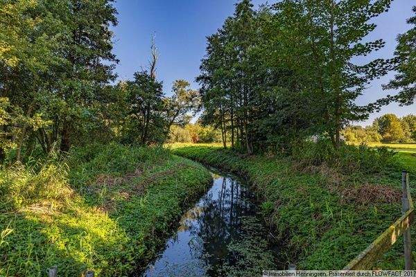 idyllischer Bürgerpark nebenan
