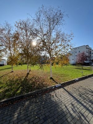 ruhiges, gepflegtes Wohnumfeld 